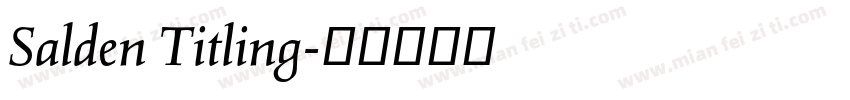 Salden Titling字体转换